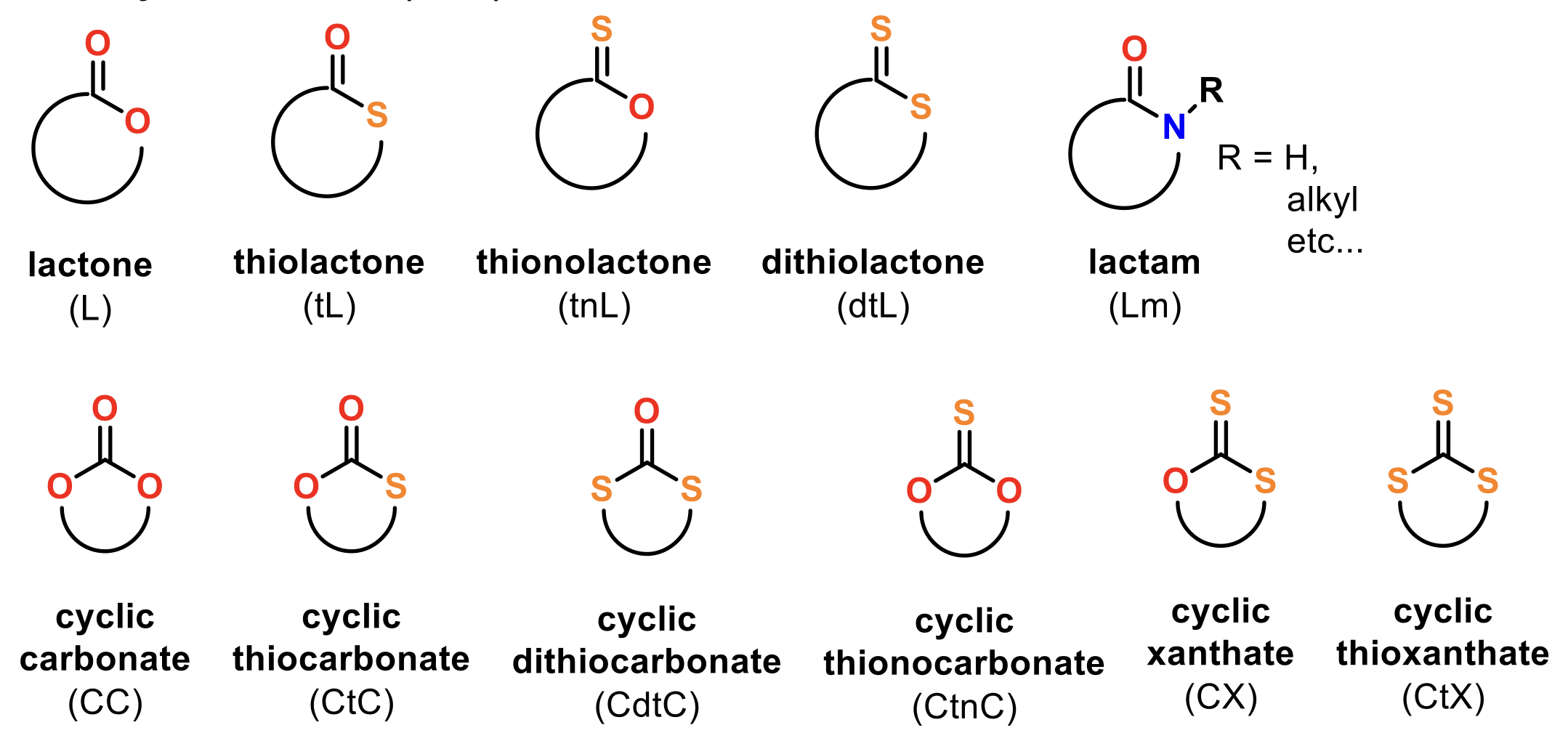 Classes of polar cyclic monomers